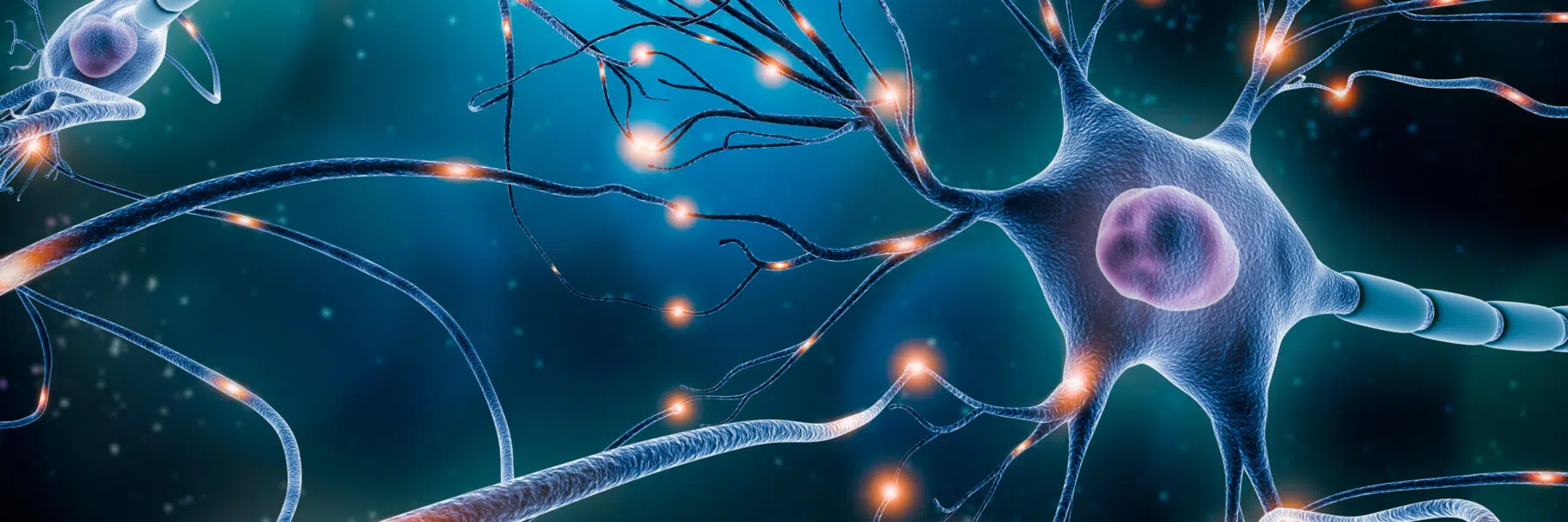 neuro-regeneration-1800x600 image