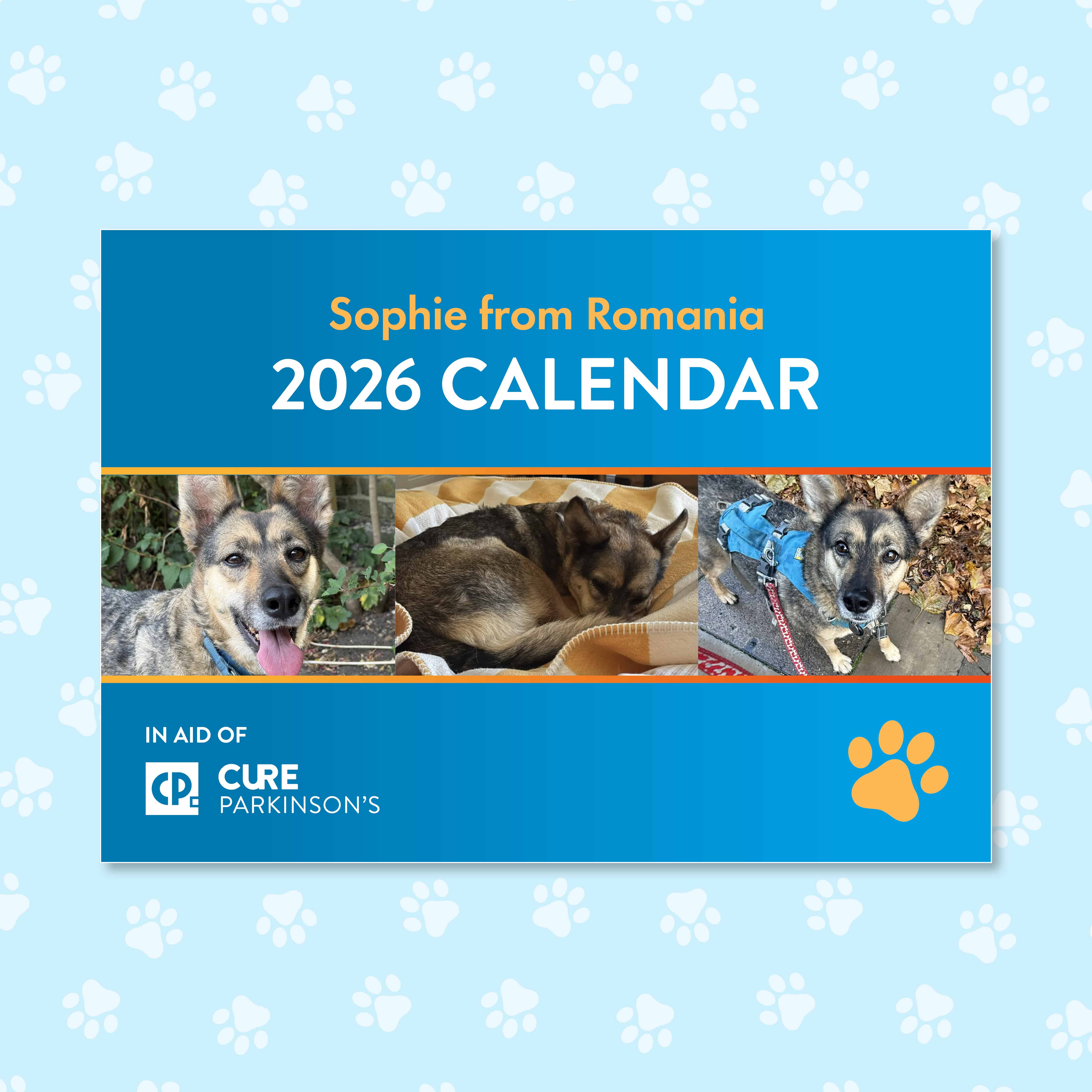 Get your paws on a #SophieFromRomania 2026 calendar this Christmas!